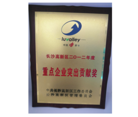 2012年长沙高新区2012年度沉点企业凸起贡献奖