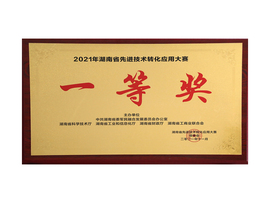 2021年湖南先进技术转化利用大赛一等奖