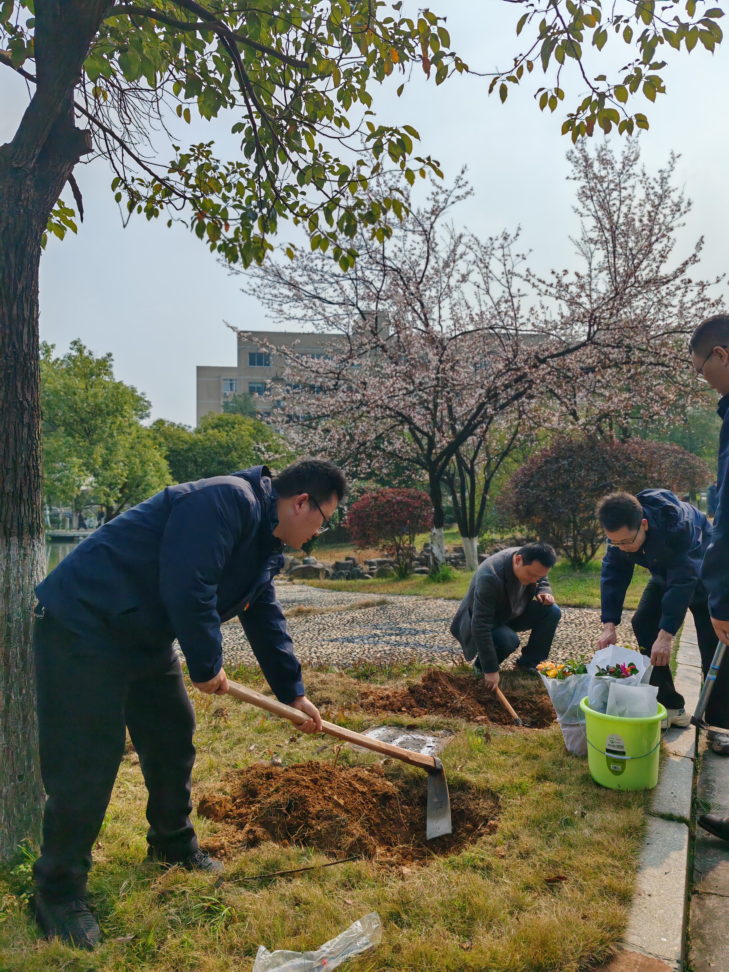 976e1e3501dc9c63a04331cf61c1d3c369b3c0e51a49e